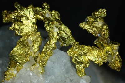 Gold ged. Placa County Californien Bb.12mm